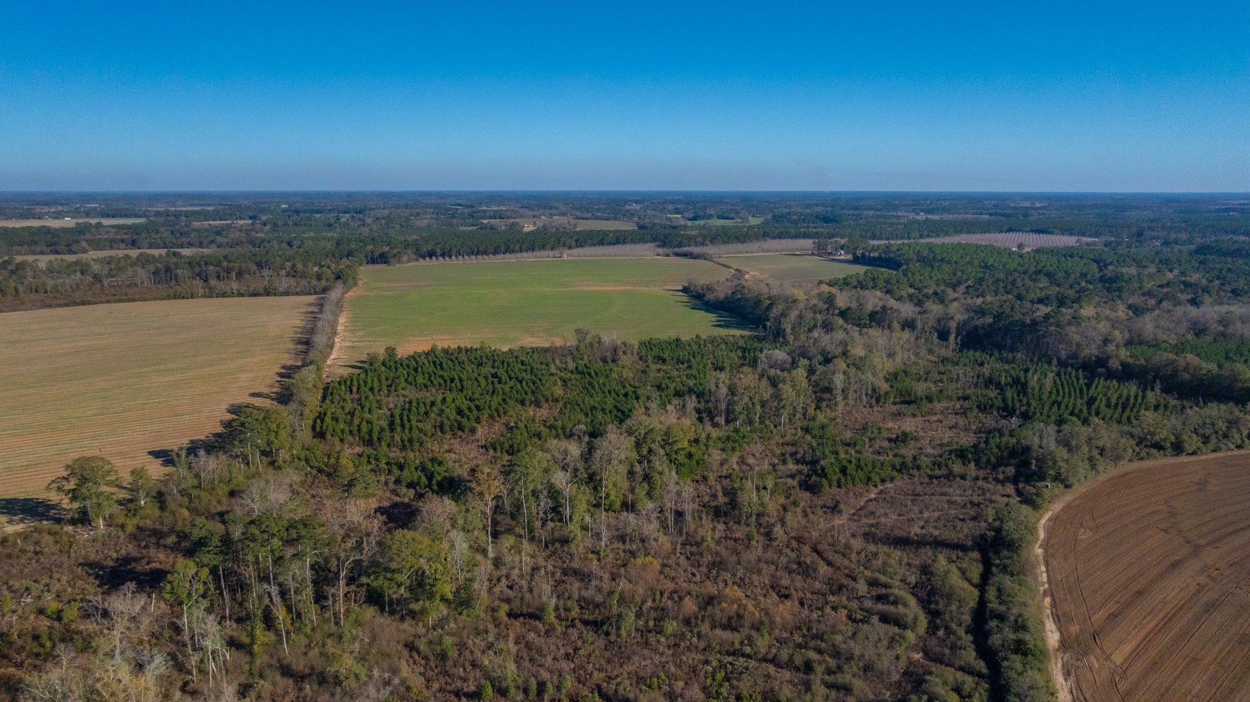 Image for The Autry Farm Property - 160.5+/- Total Acres - Colquitt & Mitchell Counties, Georgia