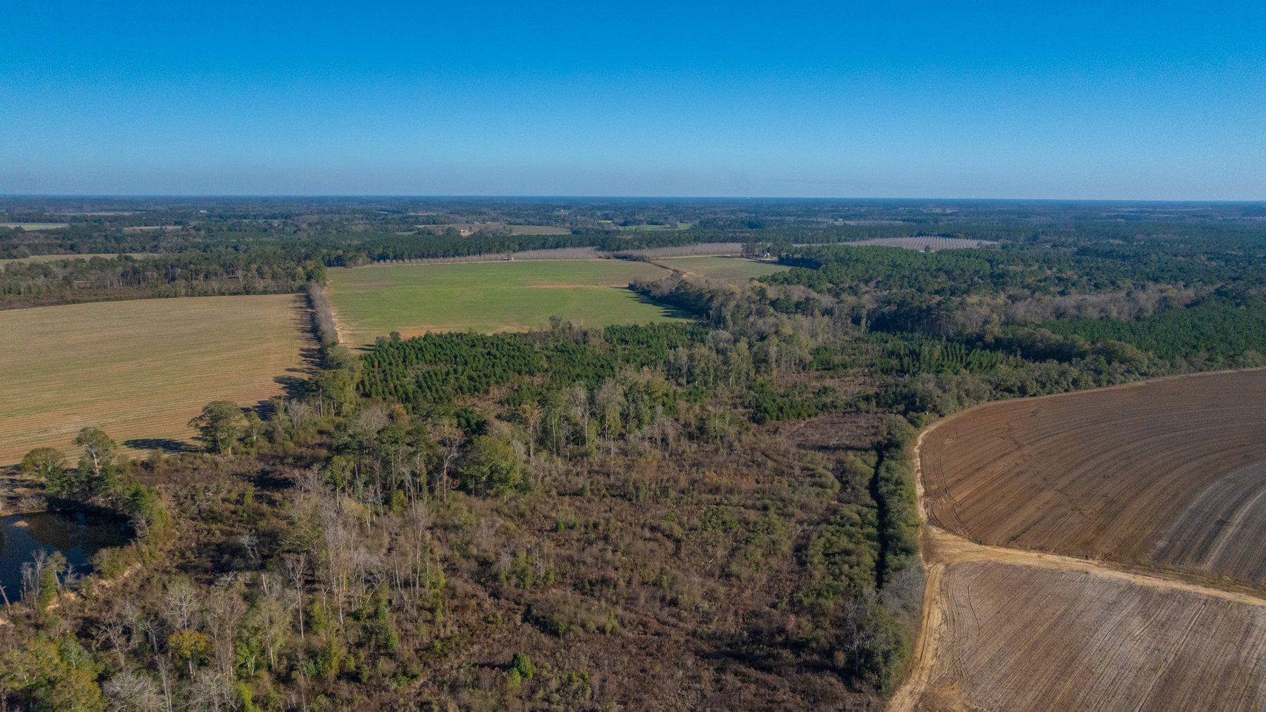 Image for The Autry Farm Property - 160.5+/- Total Acres - Colquitt & Mitchell Counties, Georgia
