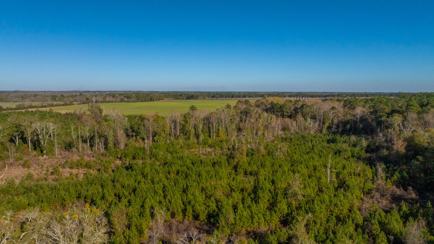 Image for The Autry Farm Property - 160.5+/- Total Acres - Colquitt & Mitchell Counties, Georgia