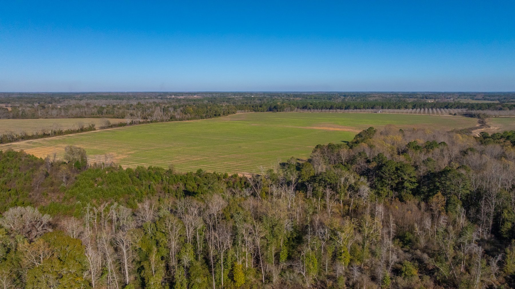 Image for The Autry Farm Property - 160.5+/- Total Acres - Colquitt & Mitchell Counties, Georgia