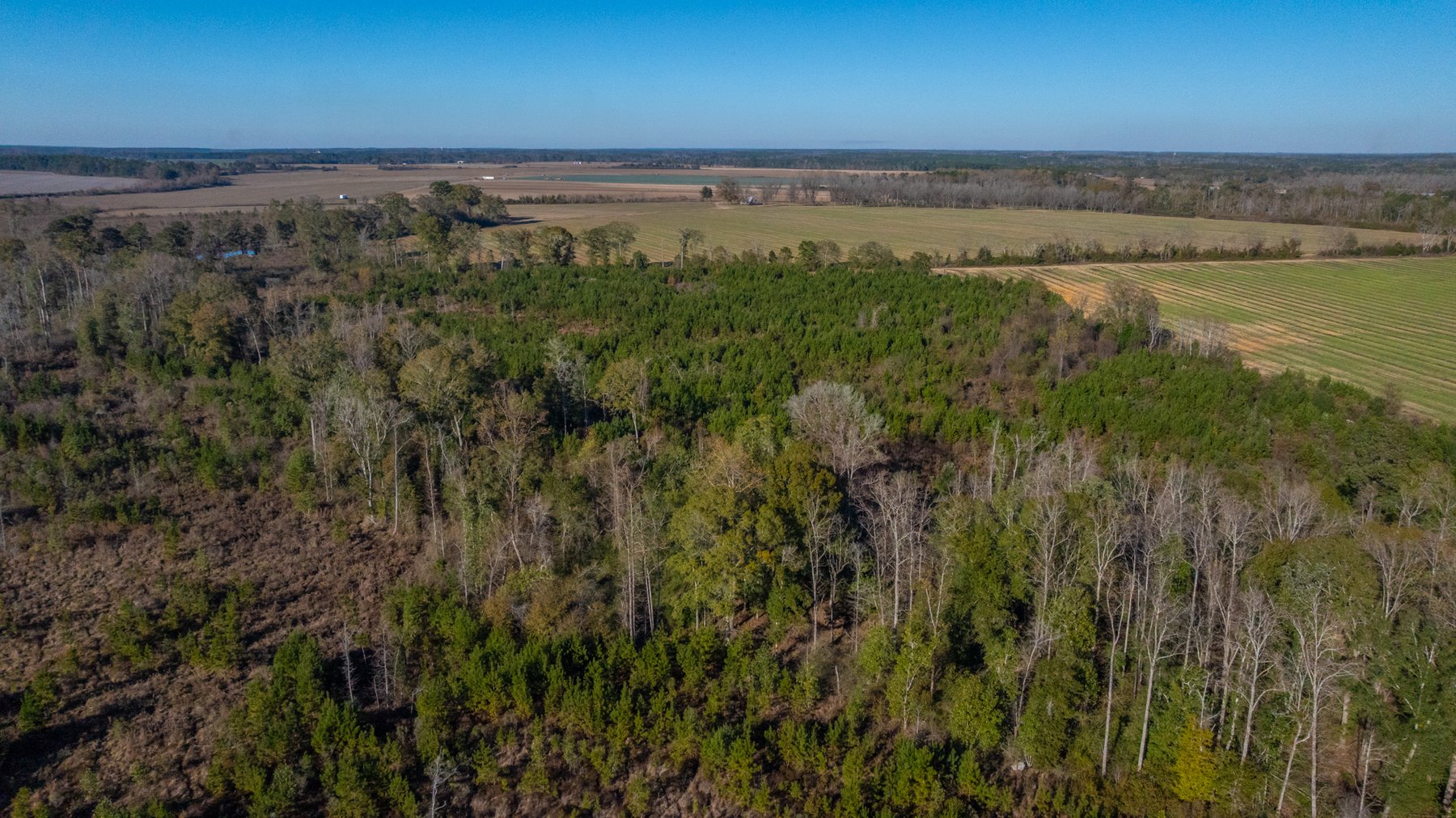 Image for The Autry Farm Property - 160.5+/- Total Acres - Colquitt & Mitchell Counties, Georgia