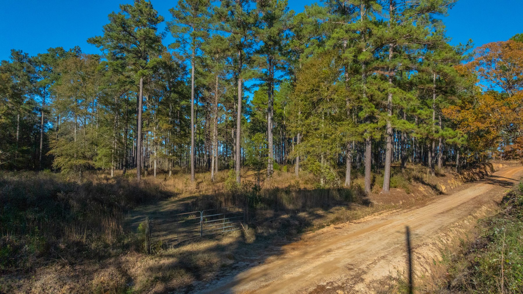Image for The Autry Farm Property - 160.5+/- Total Acres - Colquitt & Mitchell Counties, Georgia