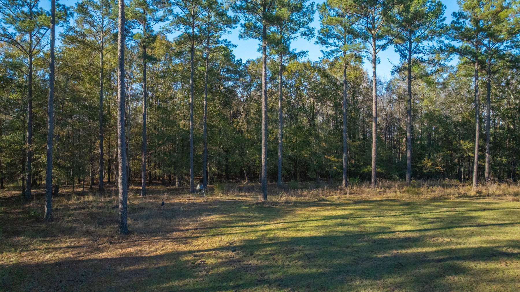 Image for The Autry Farm Property - 160.5+/- Total Acres - Colquitt & Mitchell Counties, Georgia