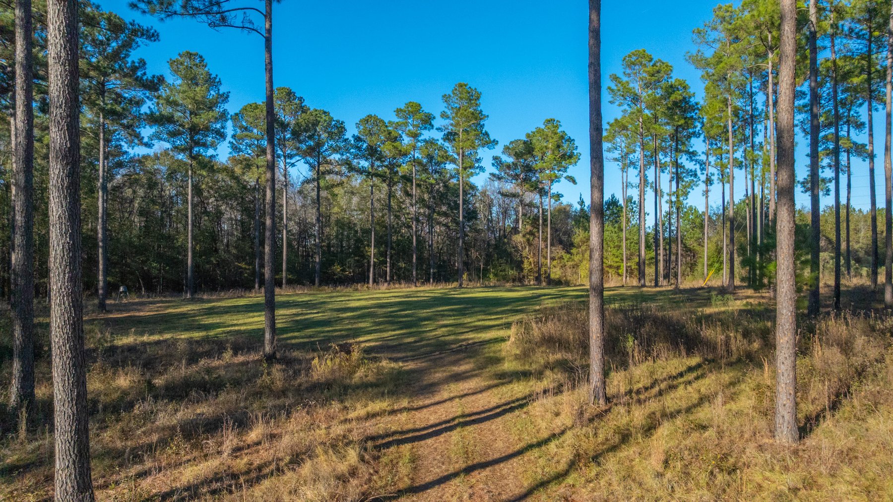 Image for The Autry Farm Property - 160.5+/- Total Acres - Colquitt & Mitchell Counties, Georgia