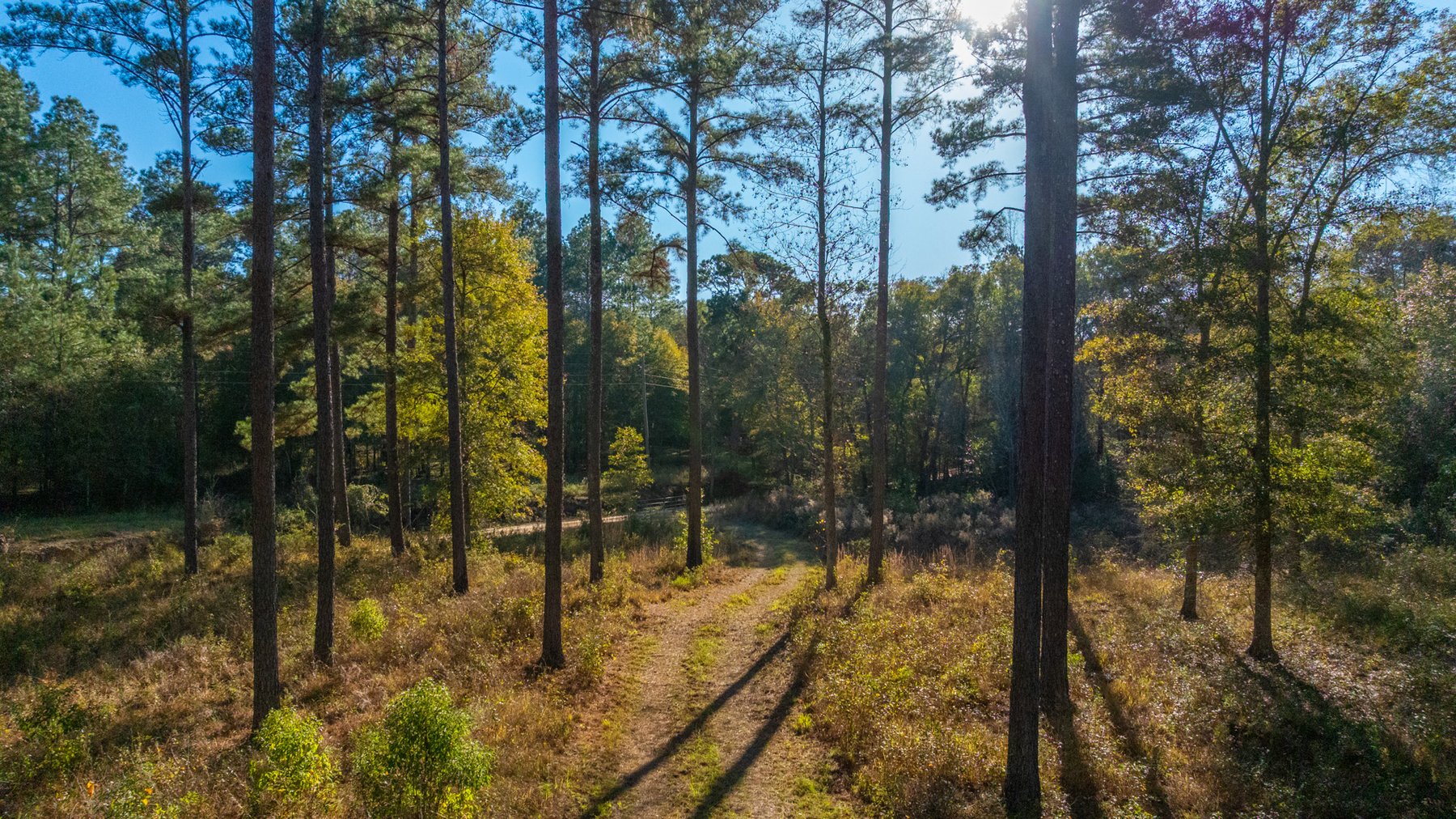 Image for The Autry Farm Property - 160.5+/- Total Acres - Colquitt & Mitchell Counties, Georgia