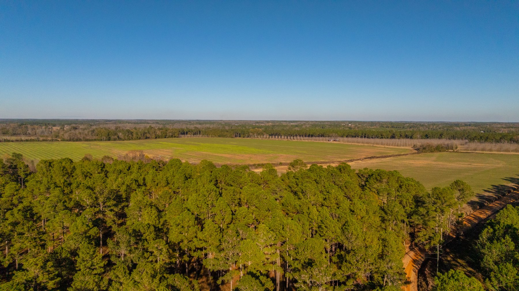 Image for The Autry Farm Property - 160.5+/- Total Acres - Colquitt & Mitchell Counties, Georgia