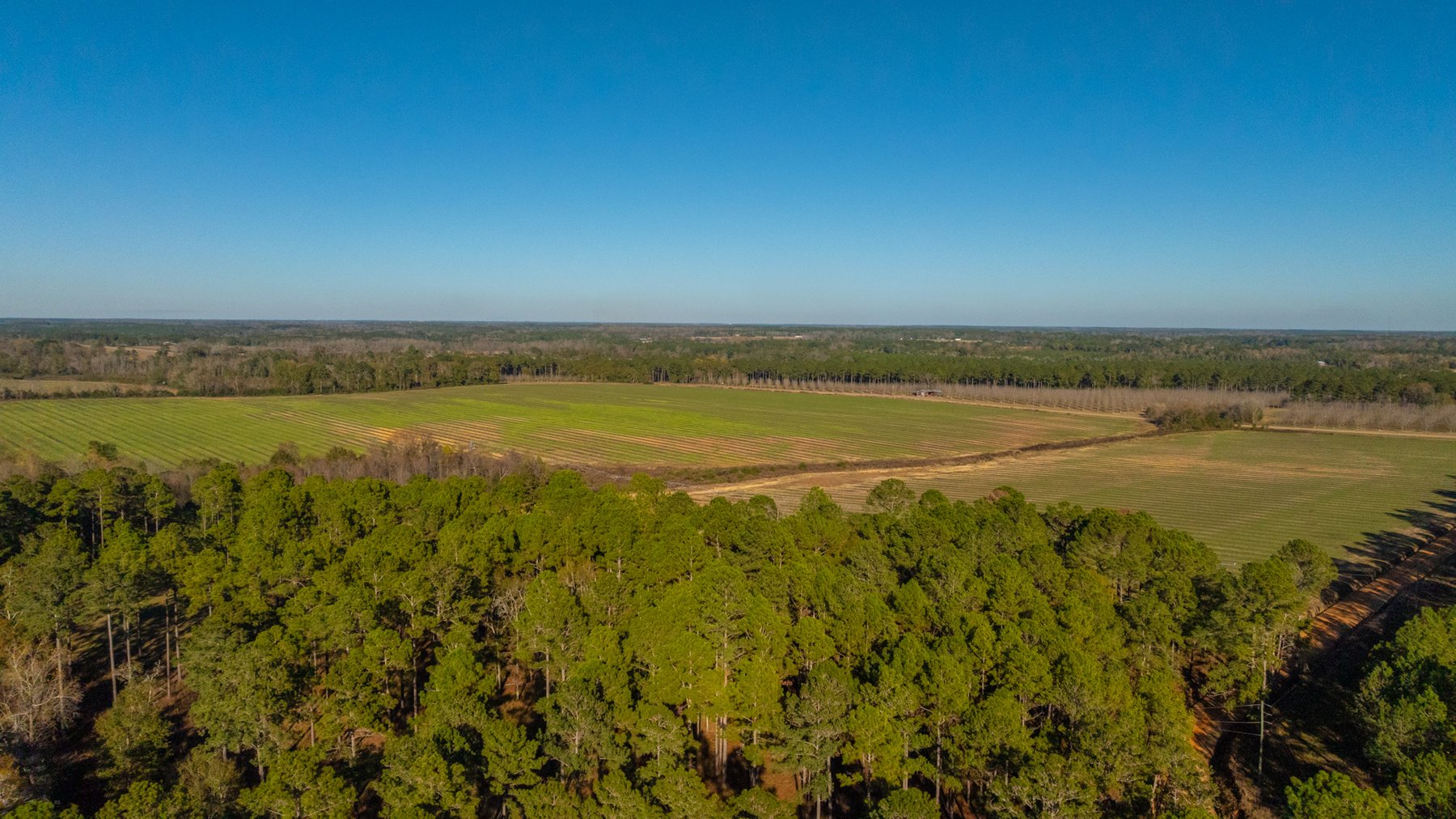 Image for The Autry Farm Property - 160.5+/- Total Acres - Colquitt & Mitchell Counties, Georgia