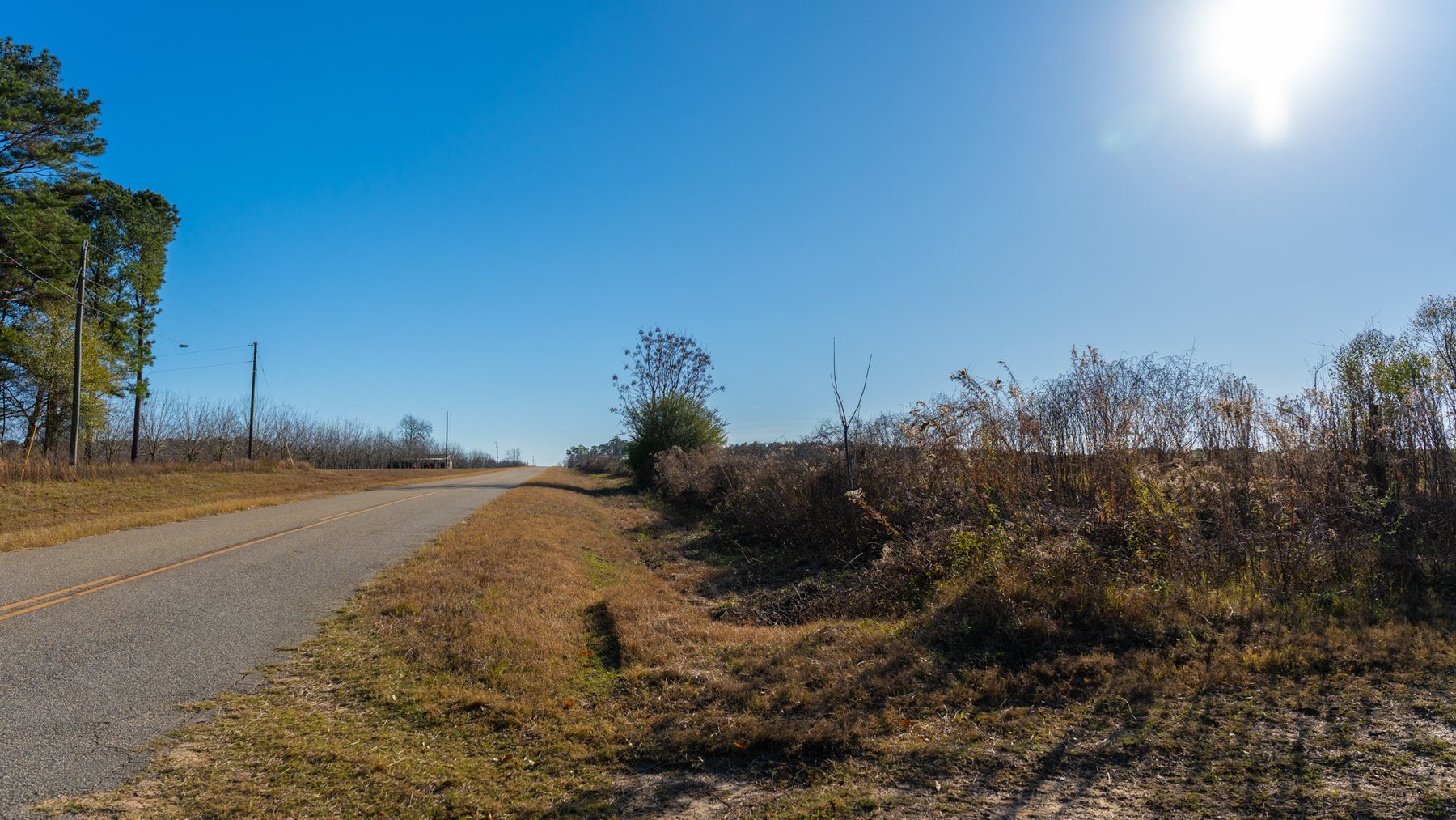 Image for The Autry Farm Property - 160.5+/- Total Acres - Colquitt & Mitchell Counties, Georgia