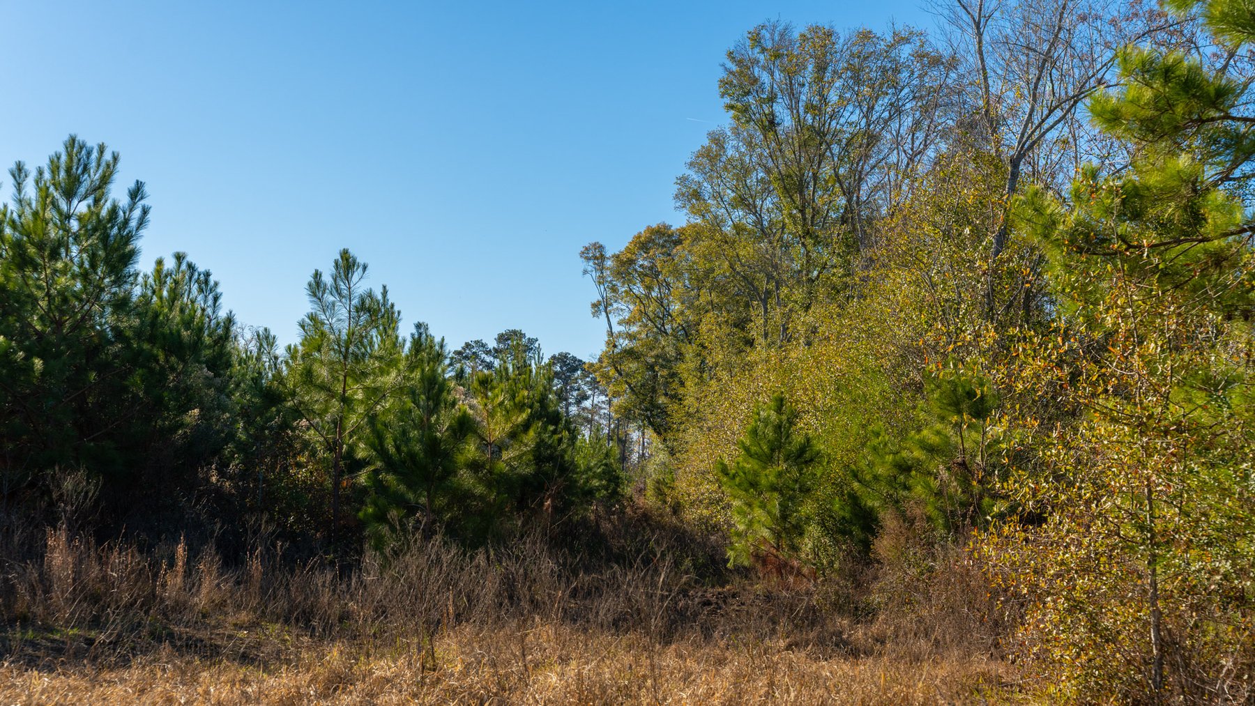 Image for The Autry Farm Property - 160.5+/- Total Acres - Colquitt & Mitchell Counties, Georgia