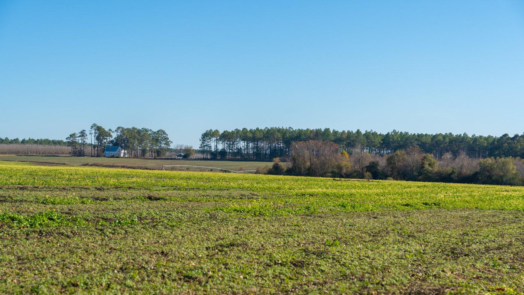 Image for The Autry Farm Property - 160.5+/- Total Acres - Colquitt & Mitchell Counties, Georgia