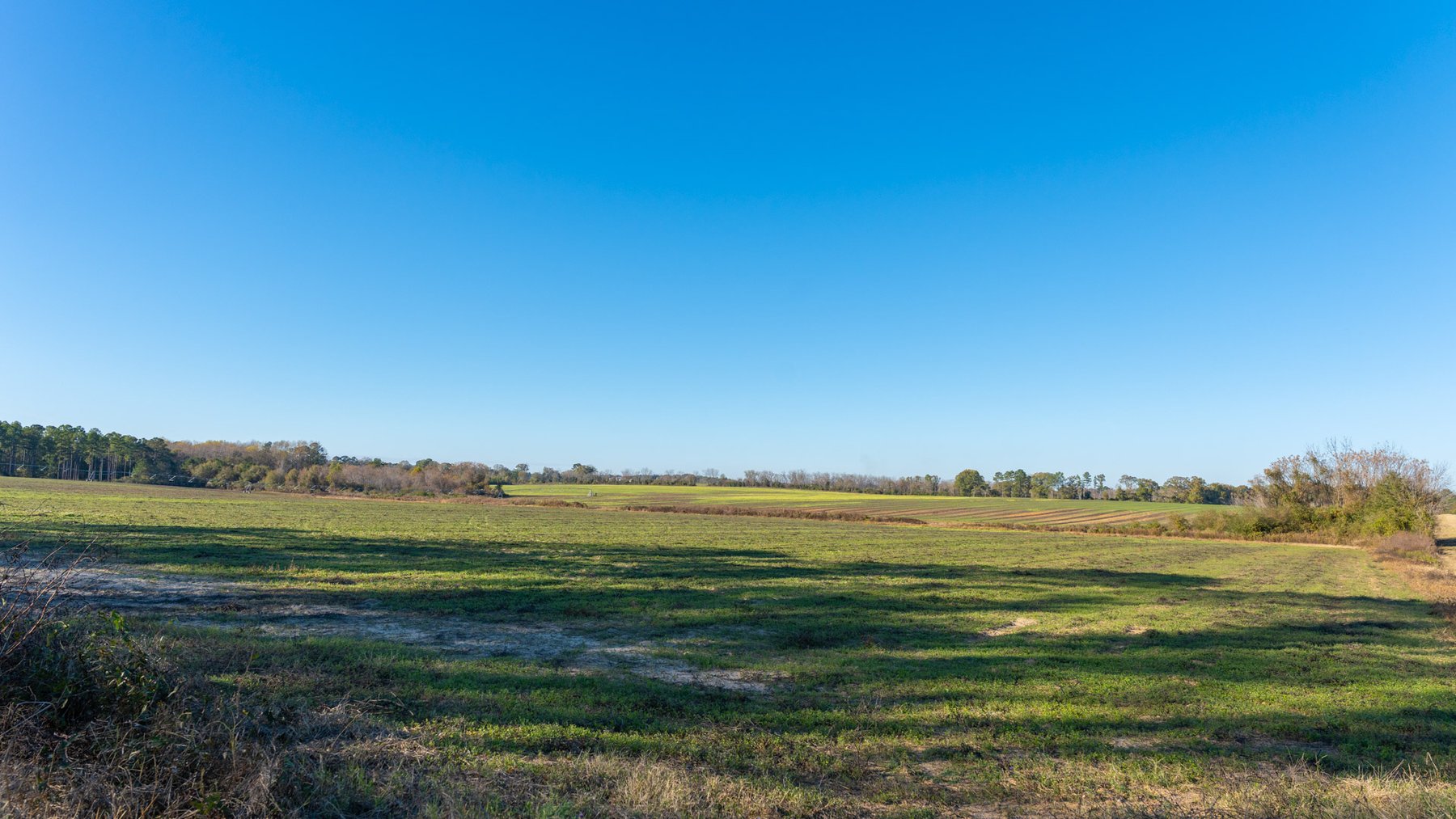 Image for The Autry Farm Property - 160.5+/- Total Acres - Colquitt & Mitchell Counties, Georgia