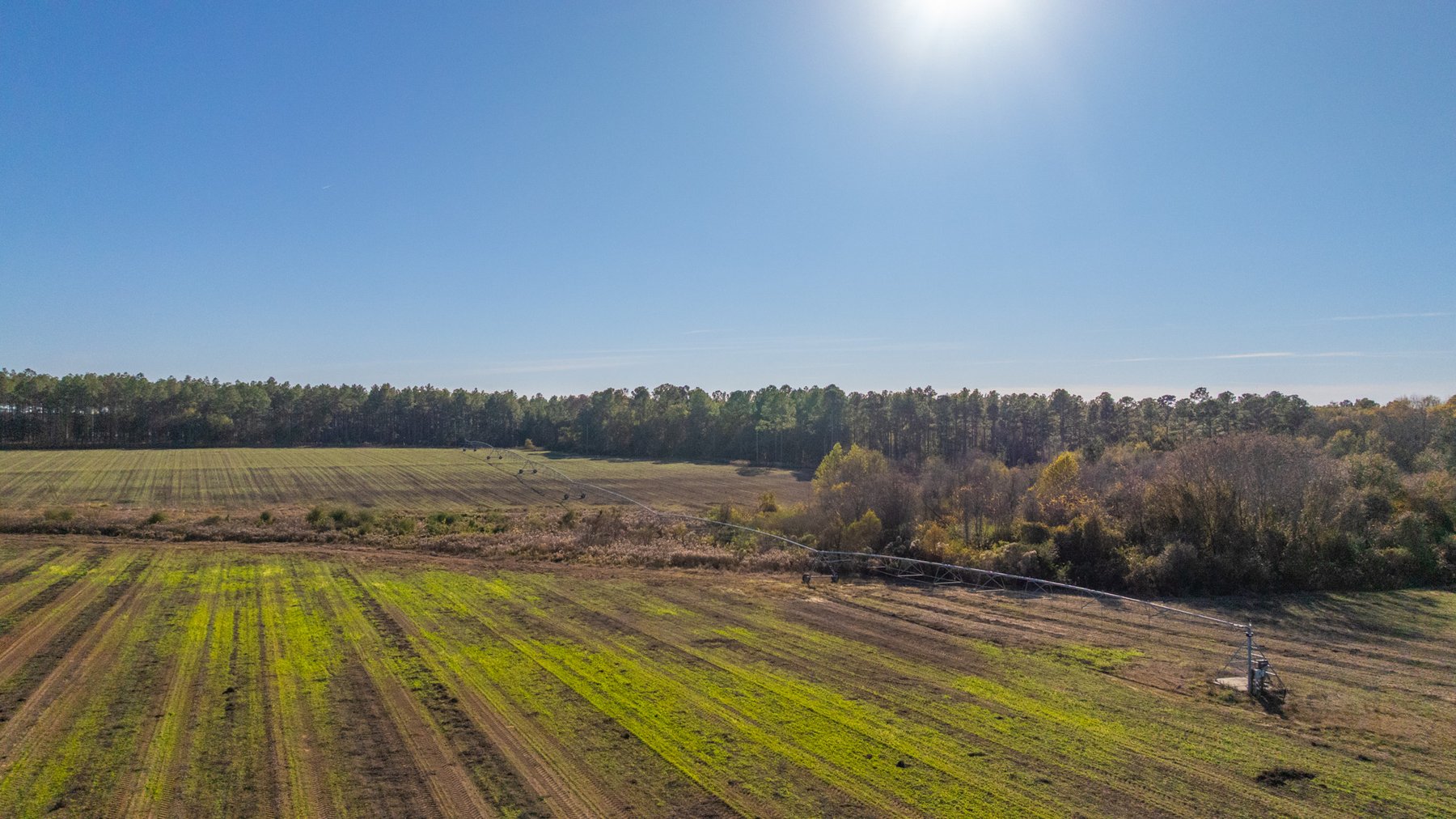 Image for The Autry Farm Property - 160.5+/- Total Acres - Colquitt & Mitchell Counties, Georgia