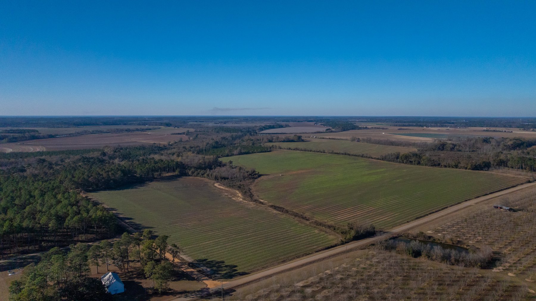 Image for The Autry Farm Property - 160.5+/- Total Acres - Colquitt & Mitchell Counties, Georgia