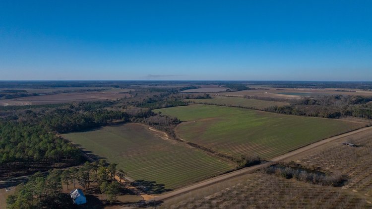 Image for The Autry Farm Property - 160.5+/- Total Acres - Colquitt & Mitchell Counties, Georgia