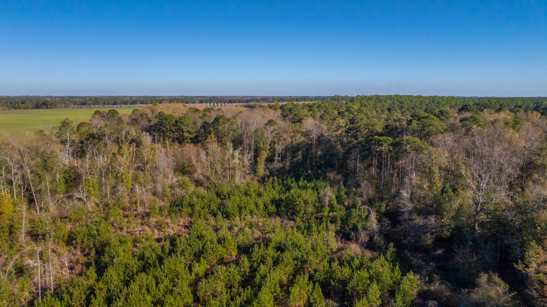 Image for The Autry Farm Property - 160.5+/- Total Acres - Colquitt & Mitchell Counties, Georgia