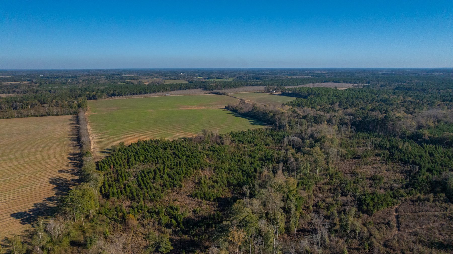 Image for The Autry Farm Property - 160.5+/- Total Acres - Colquitt & Mitchell Counties, Georgia