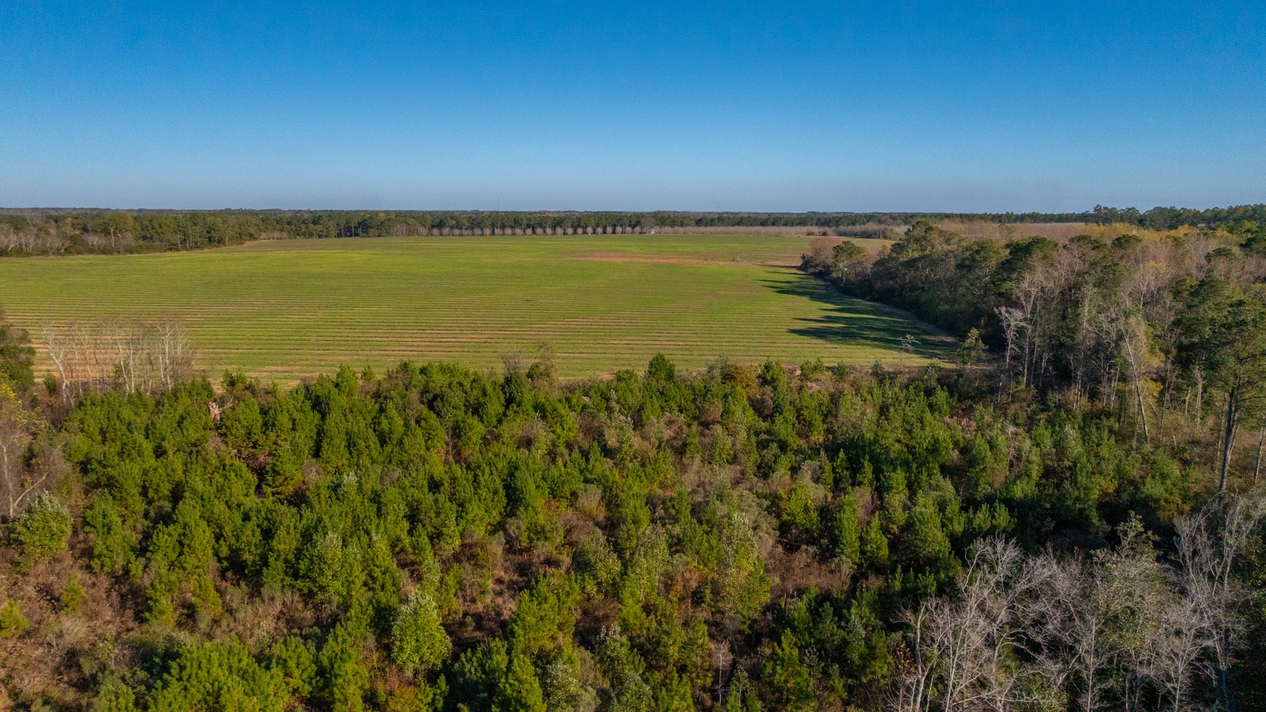 Image for The Autry Farm Property - 160.5+/- Total Acres - Colquitt & Mitchell Counties, Georgia