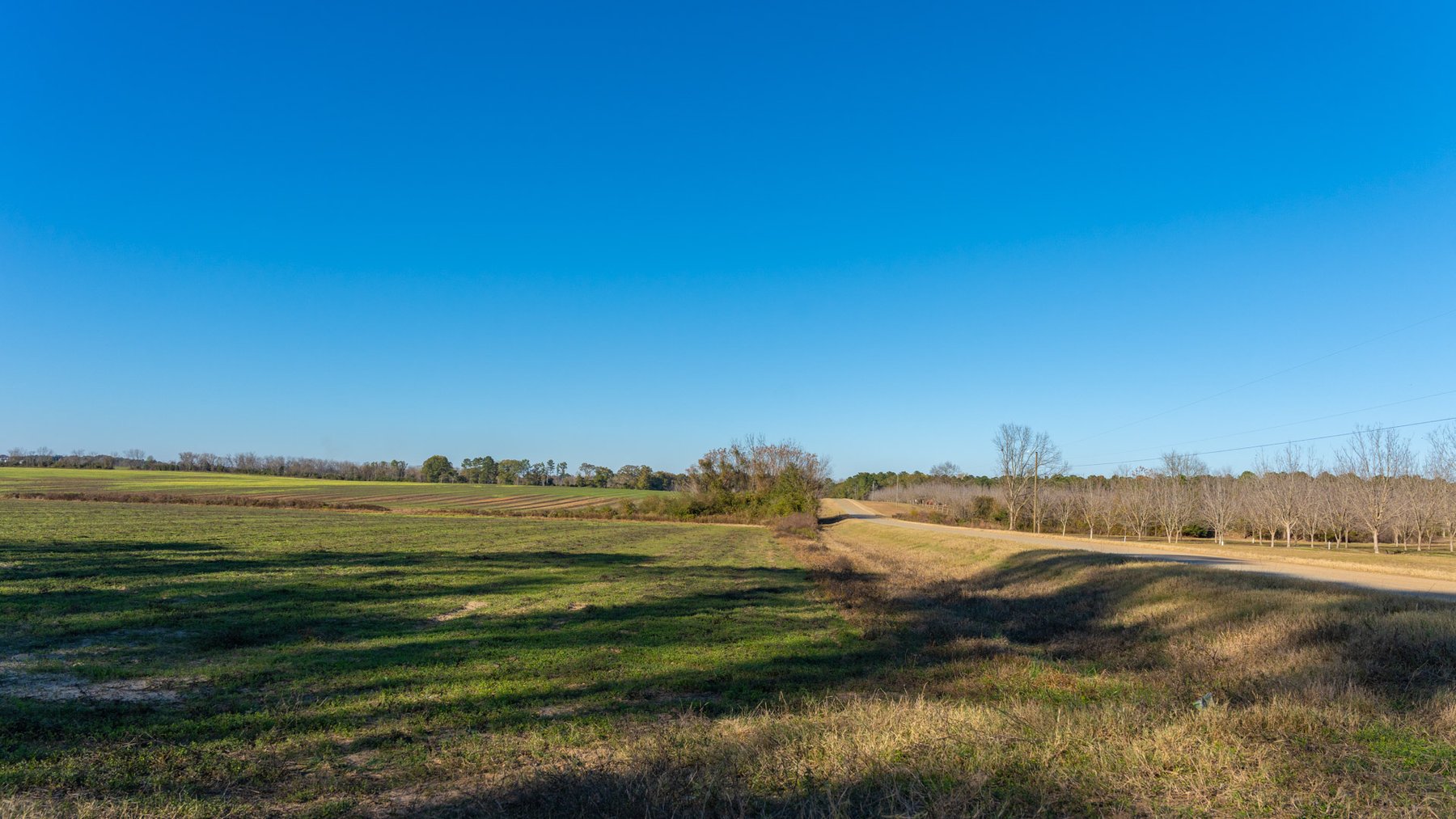 Image for The Autry Farm Property - 160.5+/- Total Acres - Colquitt & Mitchell Counties, Georgia
