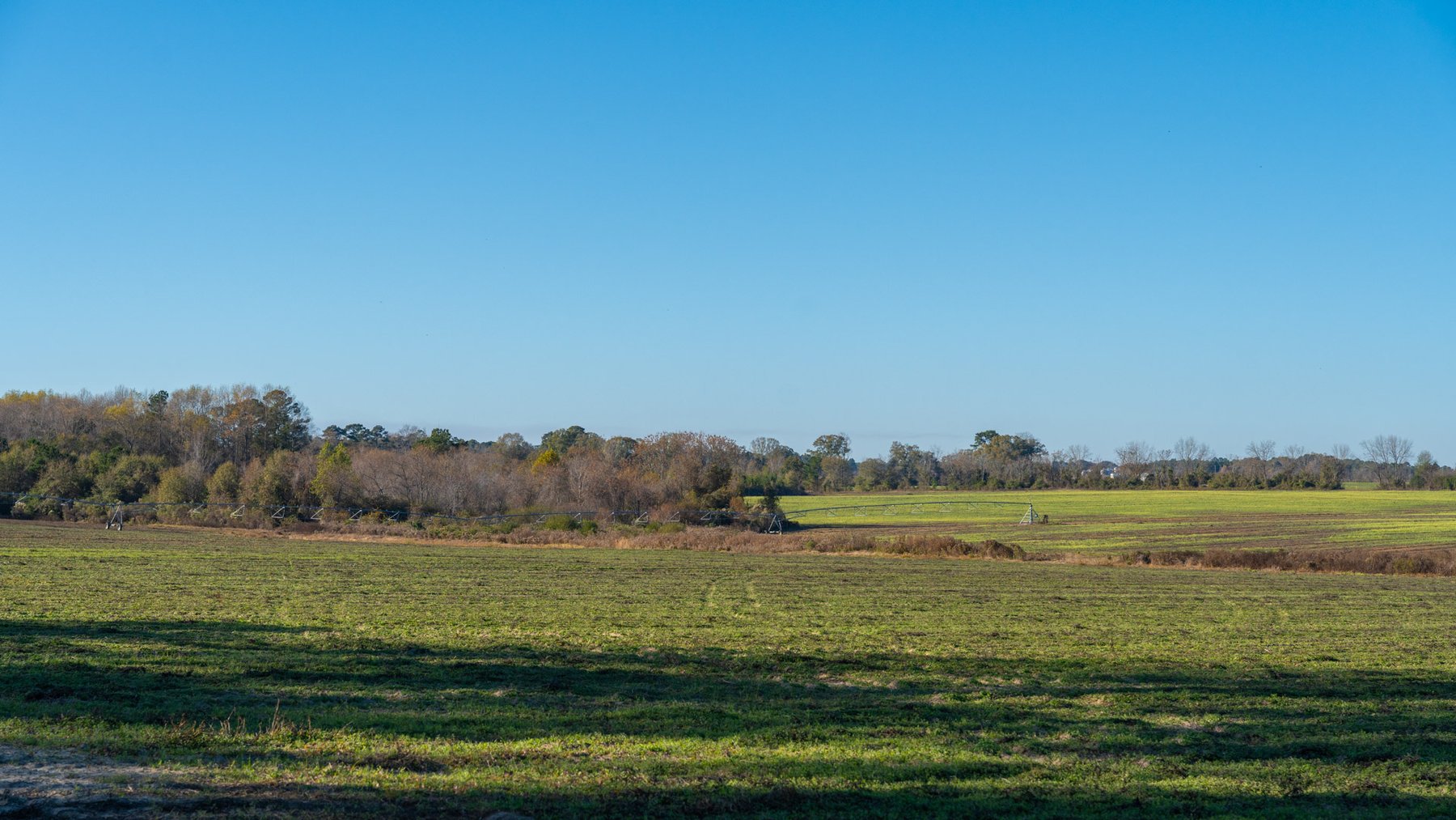 Image for The Autry Farm Property - 160.5+/- Total Acres - Colquitt & Mitchell Counties, Georgia