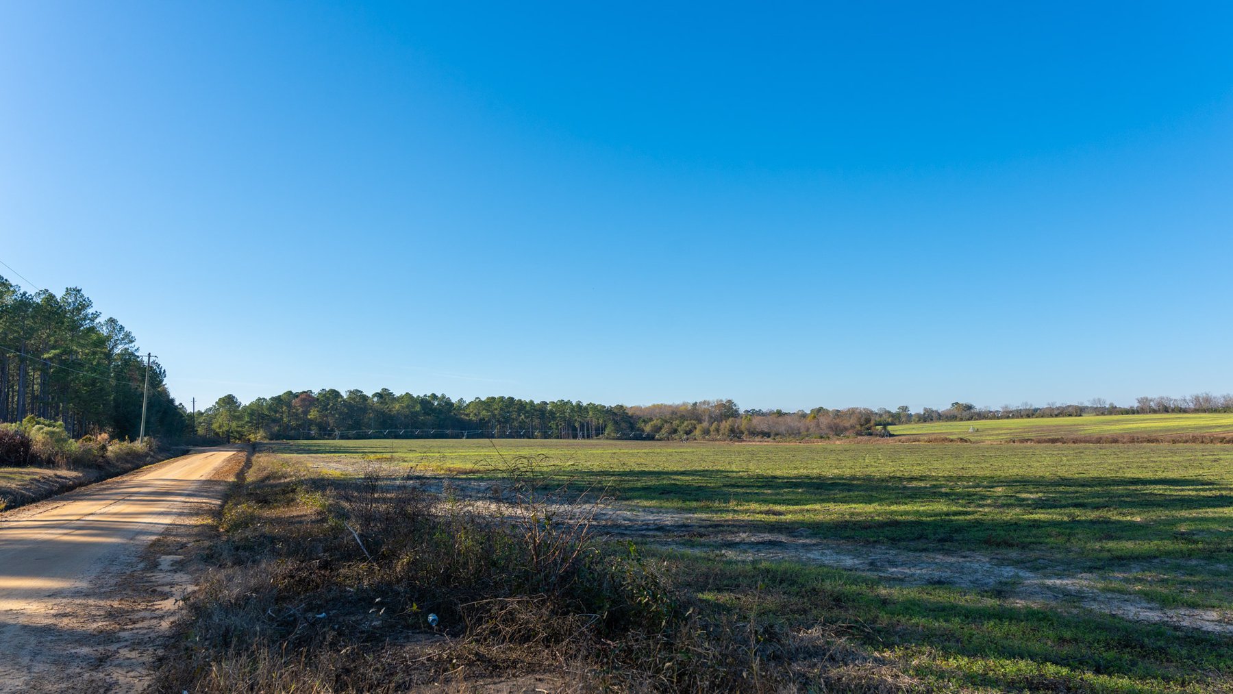 Image for The Autry Farm Property - 160.5+/- Total Acres - Colquitt & Mitchell Counties, Georgia