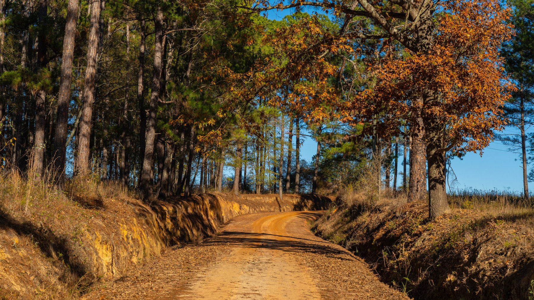 Image for The Autry Farm Property - 160.5+/- Total Acres - Colquitt & Mitchell Counties, Georgia