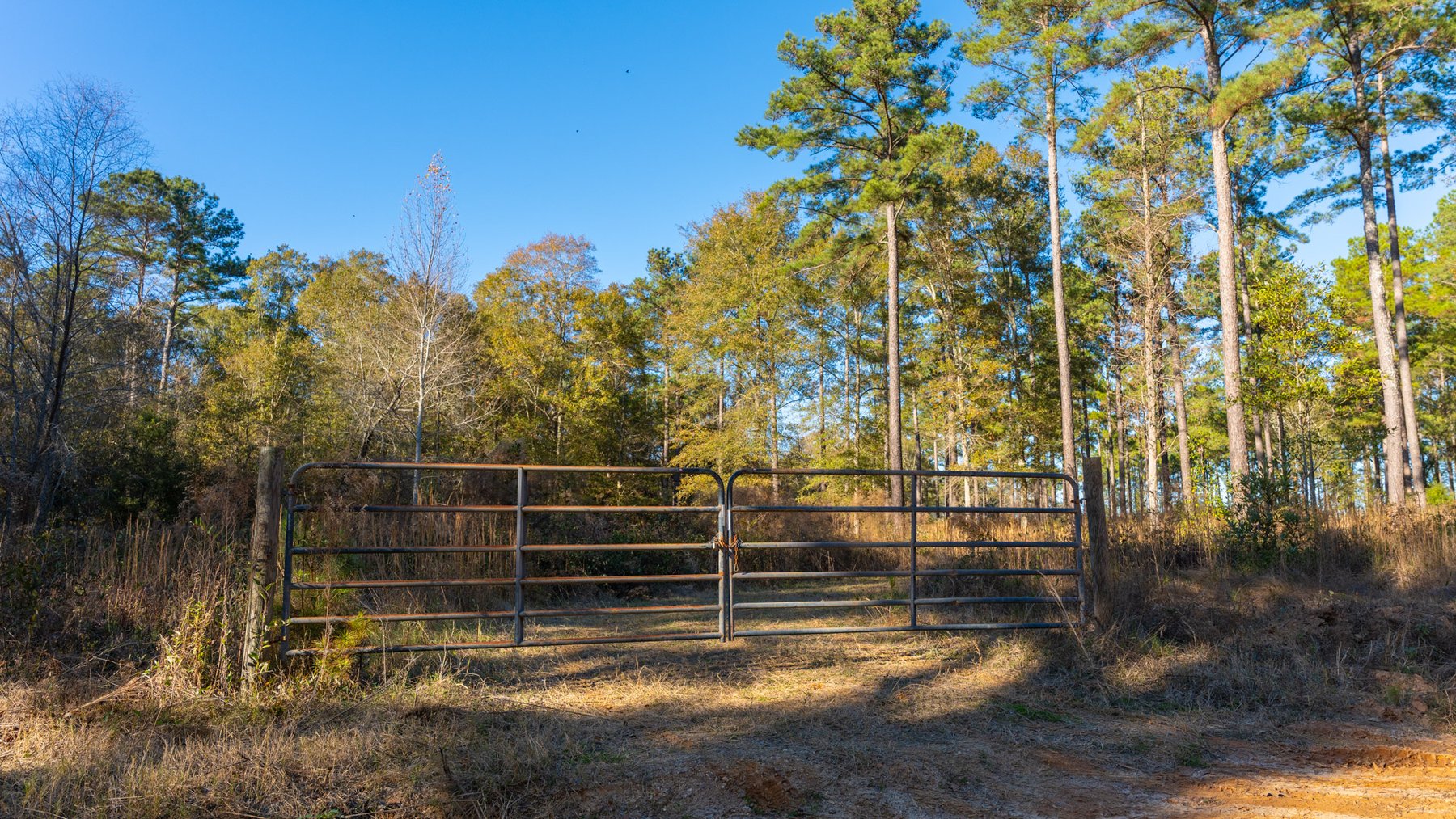 Image for The Autry Farm Property - 160.5+/- Total Acres - Colquitt & Mitchell Counties, Georgia