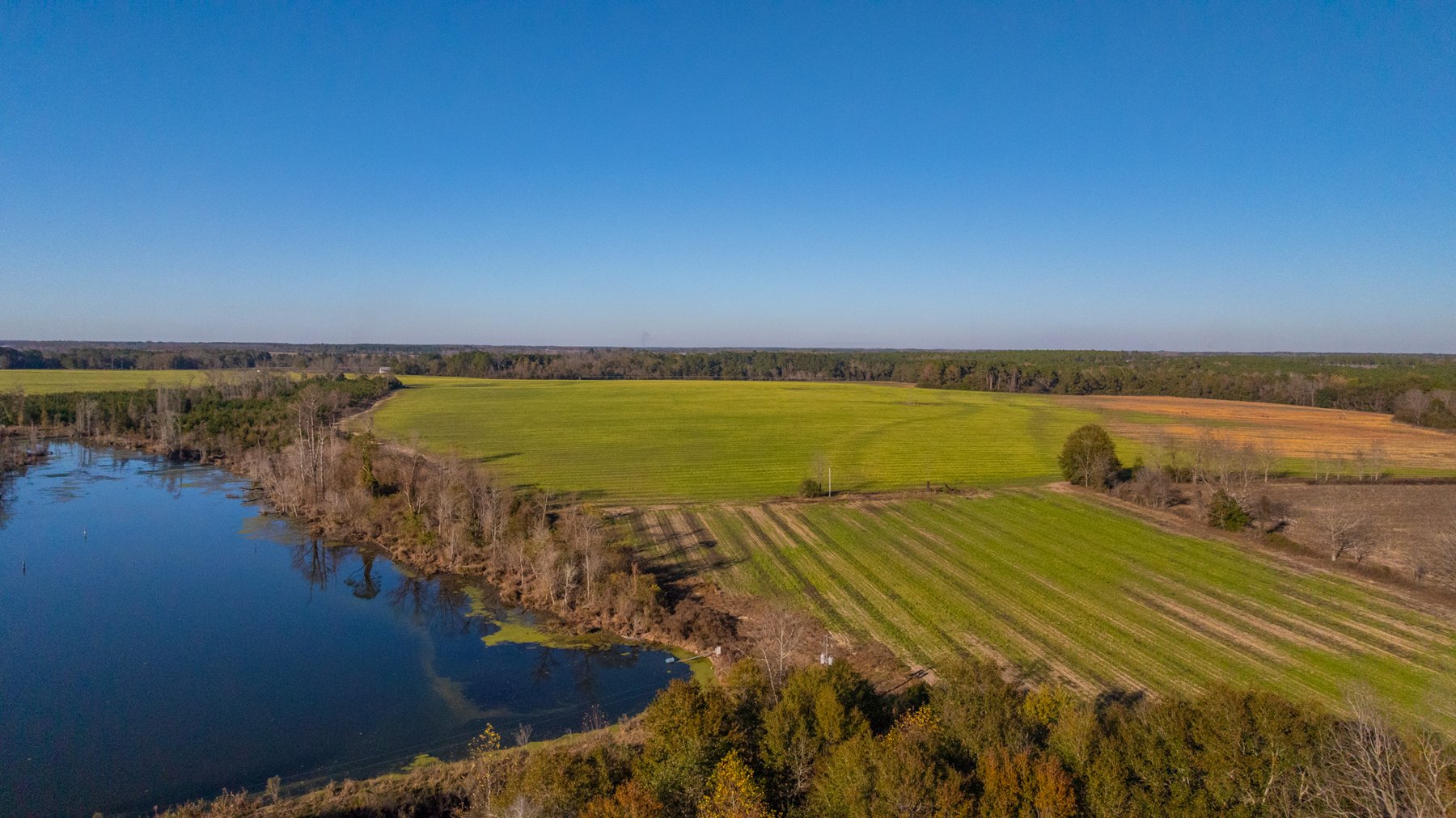 Image for The Glenn Farm Property - 377.6+/- Total Acres - Mitchell County, Georgia