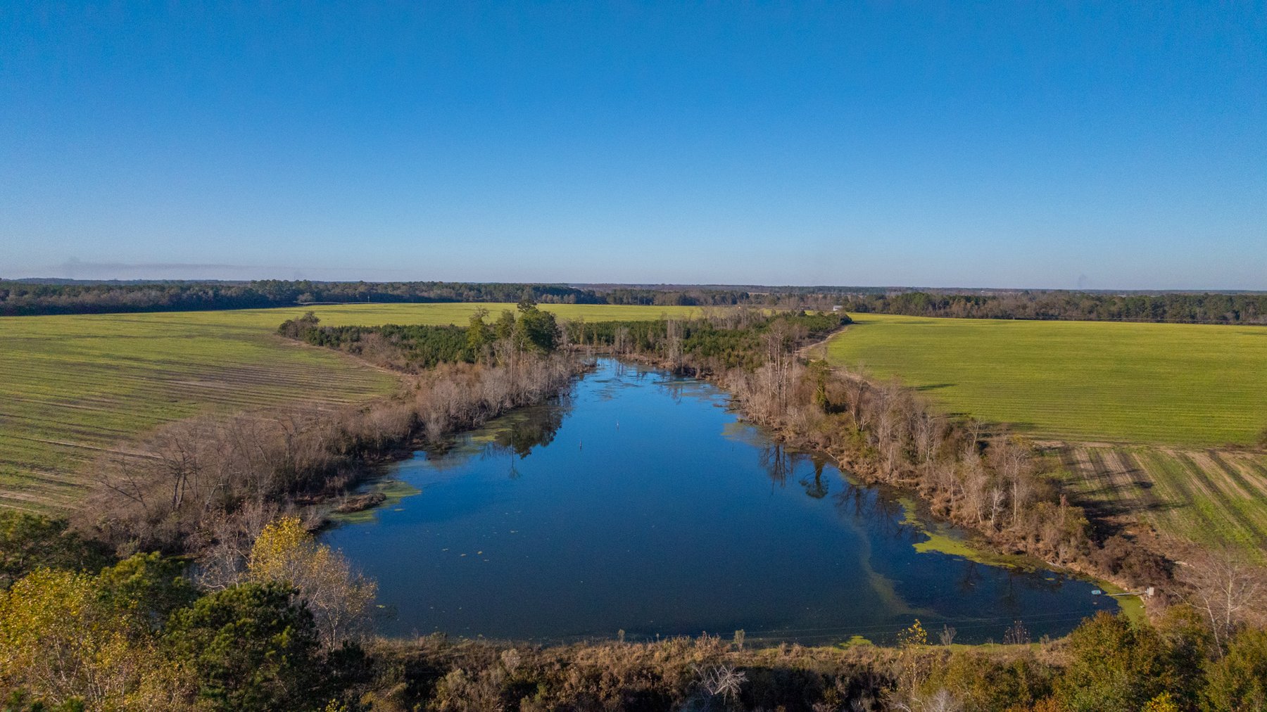 Image for The Glenn Farm Property - 377.6+/- Total Acres - Mitchell County, Georgia