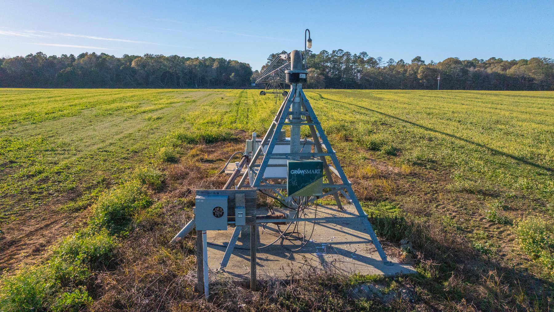 Image for The Glenn Farm Property - 377.6+/- Total Acres - Mitchell County, Georgia