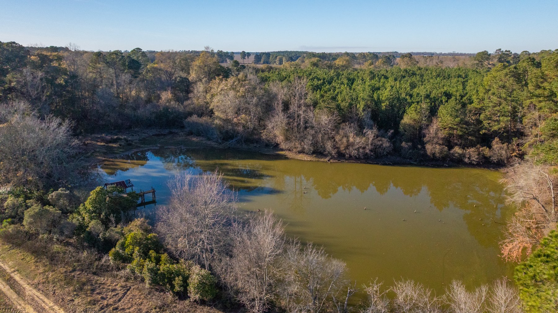 Image for The Glenn Farm Property - 377.6+/- Total Acres - Mitchell County, Georgia