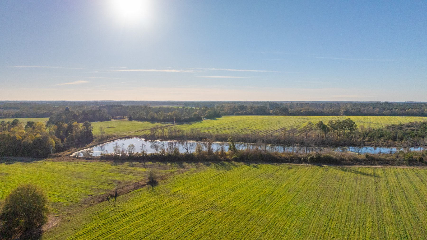 Image for The Glenn Farm Property - 377.6+/- Total Acres - Mitchell County, Georgia