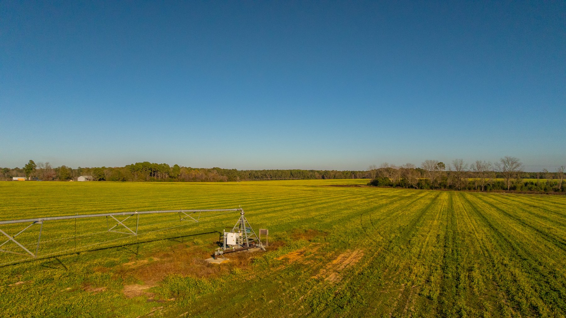 Image for The Glenn Farm Property - 377.6+/- Total Acres - Mitchell County, Georgia