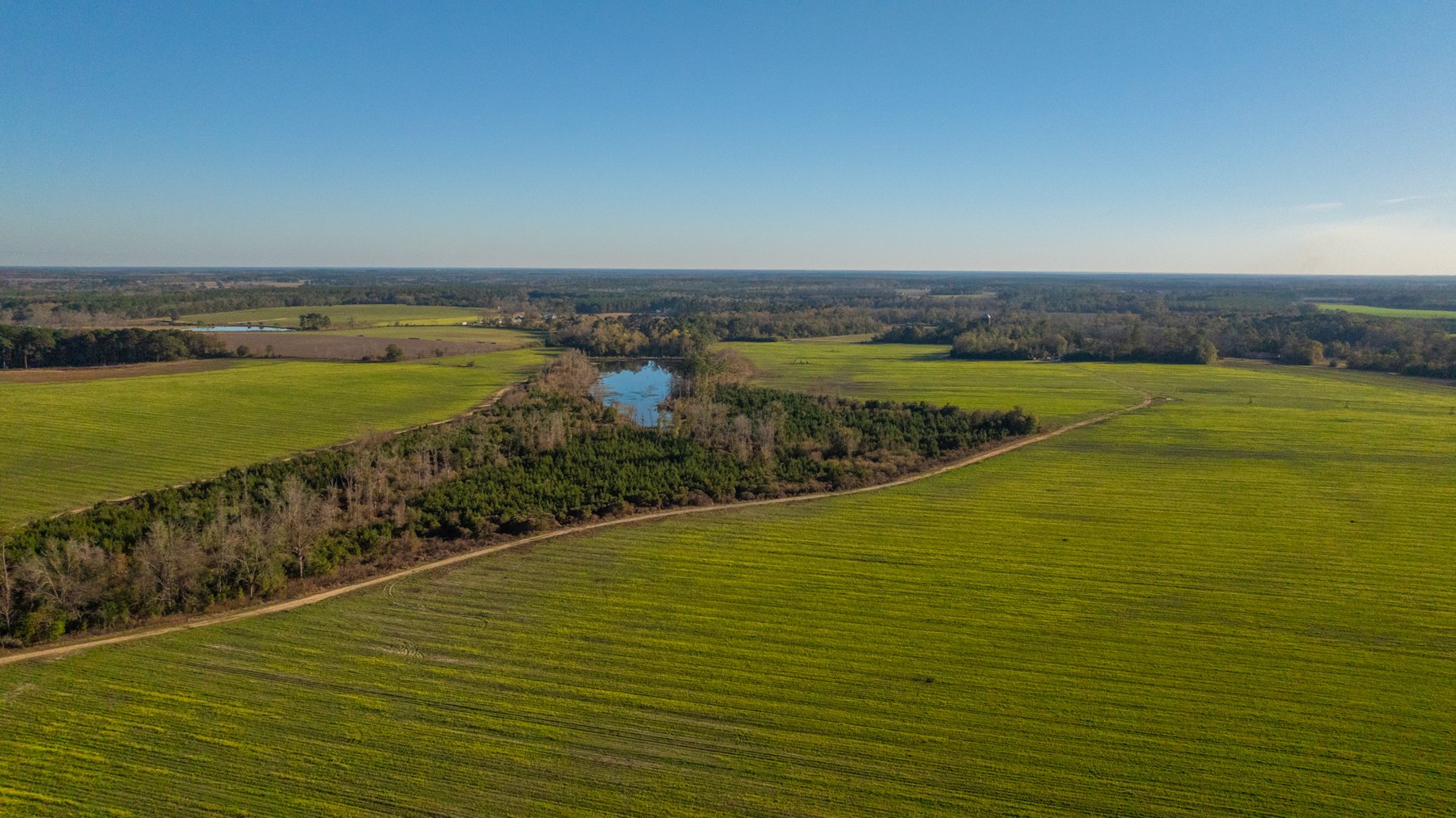 Image for The Glenn Farm Property - 377.6+/- Total Acres - Mitchell County, Georgia