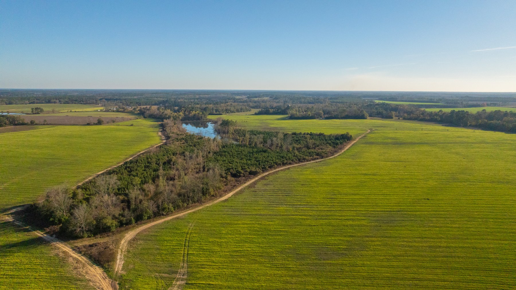 Image for The Glenn Farm Property - 377.6+/- Total Acres - Mitchell County, Georgia