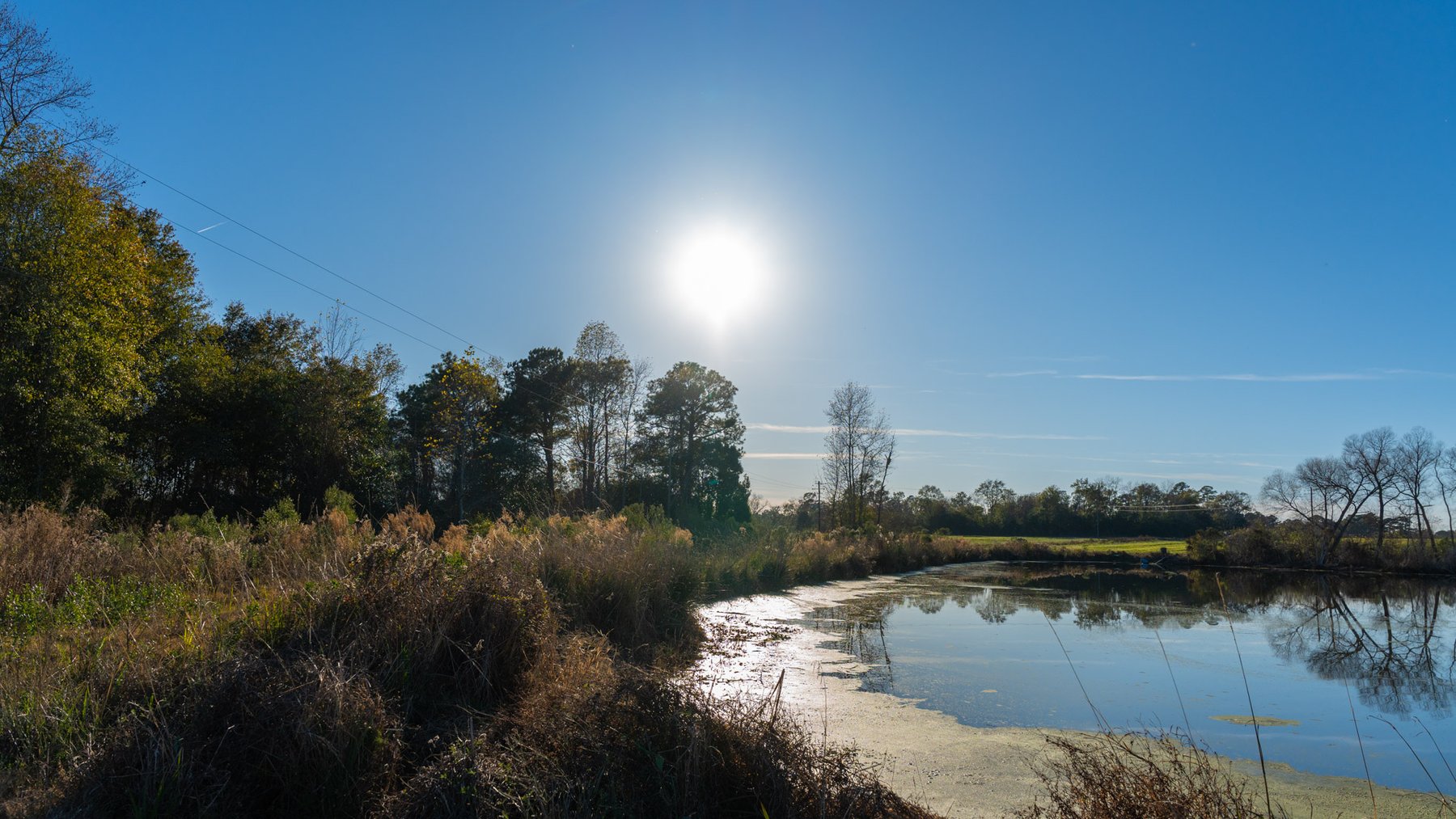 Image for The Glenn Farm Property - 377.6+/- Total Acres - Mitchell County, Georgia