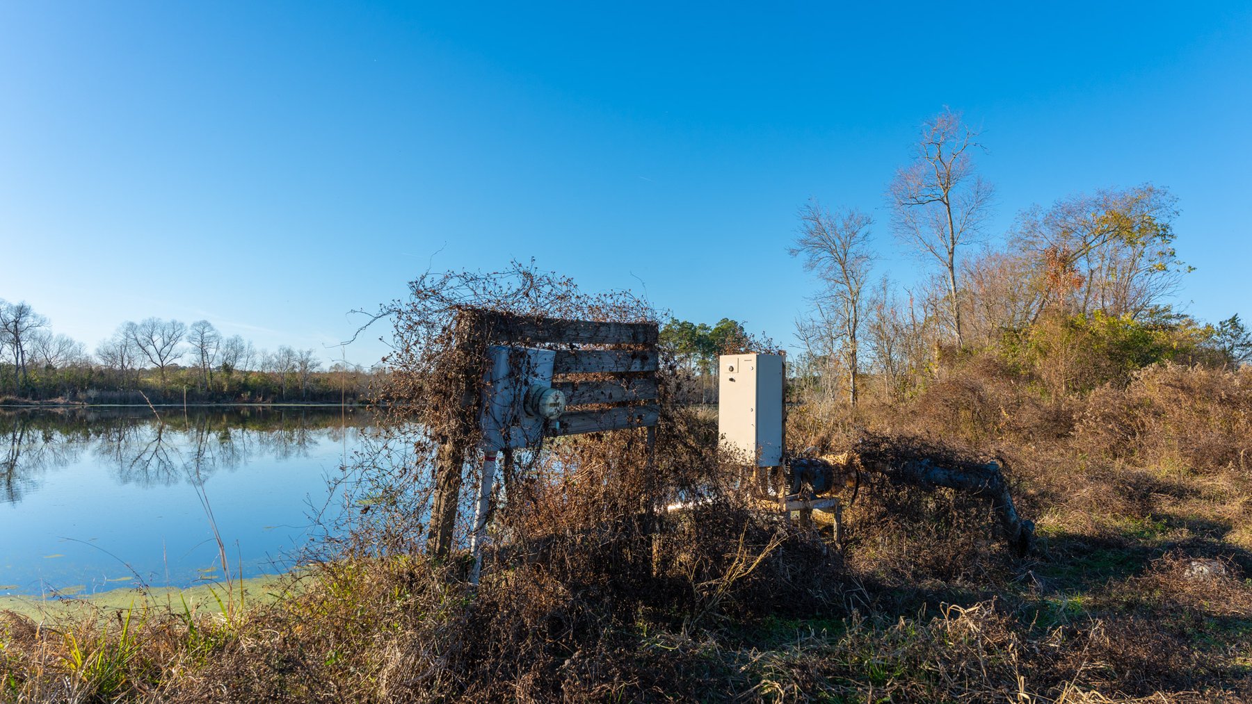 Image for The Glenn Farm Property - 377.6+/- Total Acres - Mitchell County, Georgia