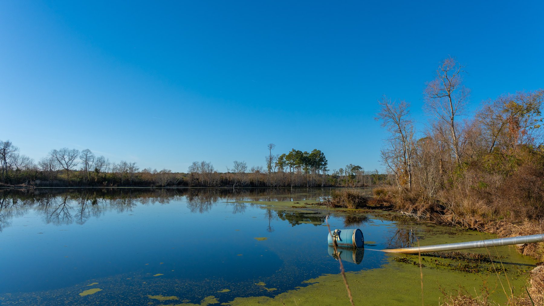Image for The Glenn Farm Property - 377.6+/- Total Acres - Mitchell County, Georgia