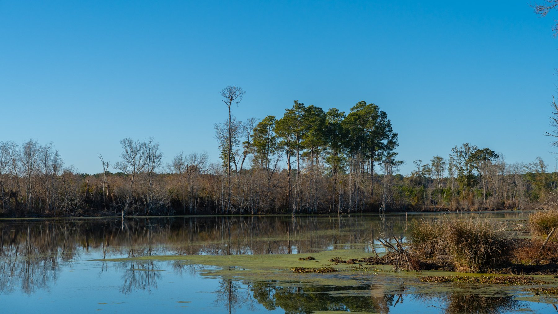 Image for The Glenn Farm Property - 377.6+/- Total Acres - Mitchell County, Georgia