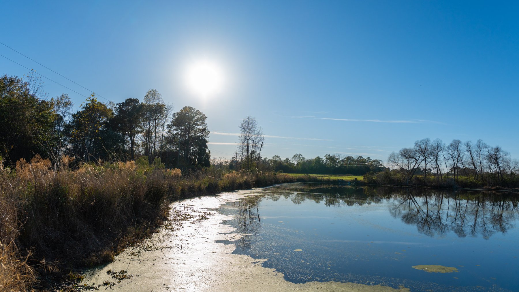 Image for The Glenn Farm Property - 377.6+/- Total Acres - Mitchell County, Georgia