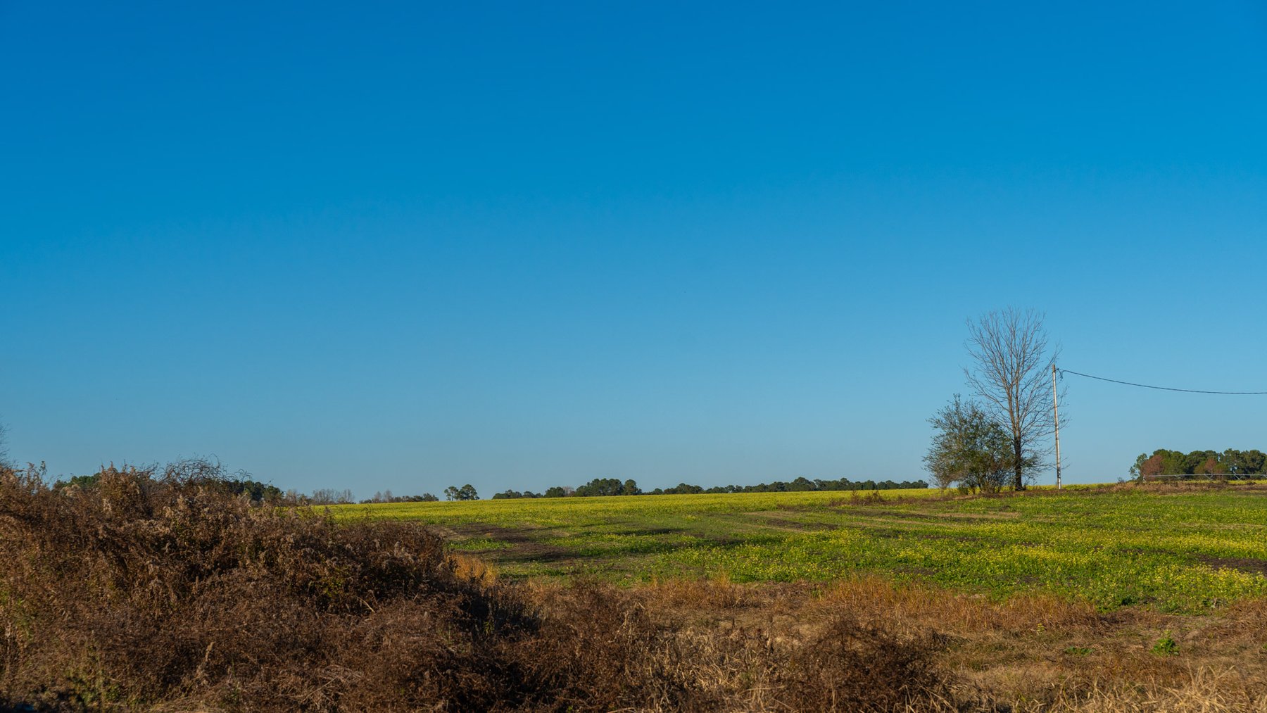 Image for The Glenn Farm Property - 377.6+/- Total Acres - Mitchell County, Georgia