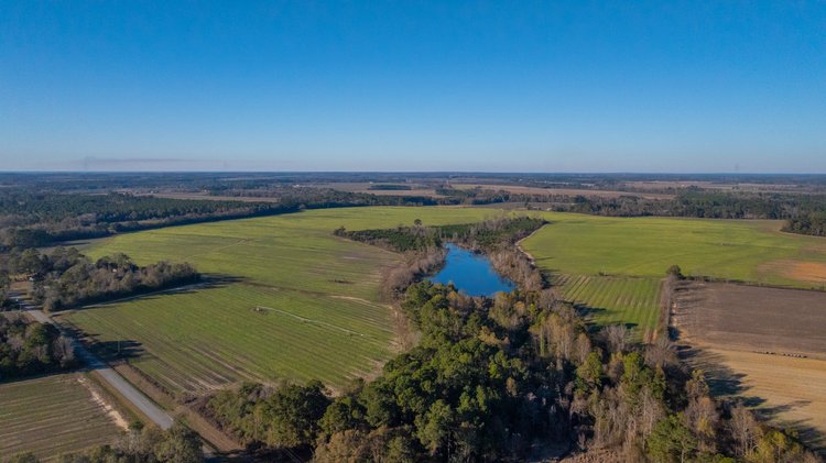 Image for The Glenn Farm Property - 377.6+/- Total Acres - Mitchell County, Georgia