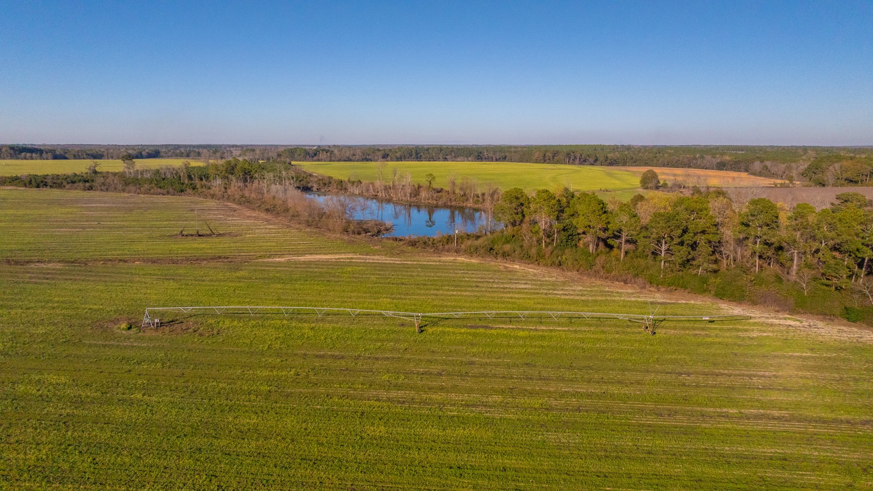 Image for The Glenn Farm Property - 377.6+/- Total Acres - Mitchell County, Georgia