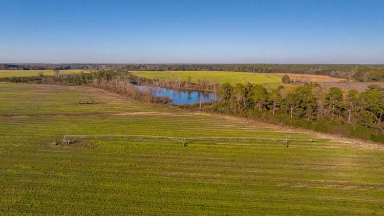 Image for The Glenn Farm Property - 377.6+/- Total Acres - Mitchell County, Georgia