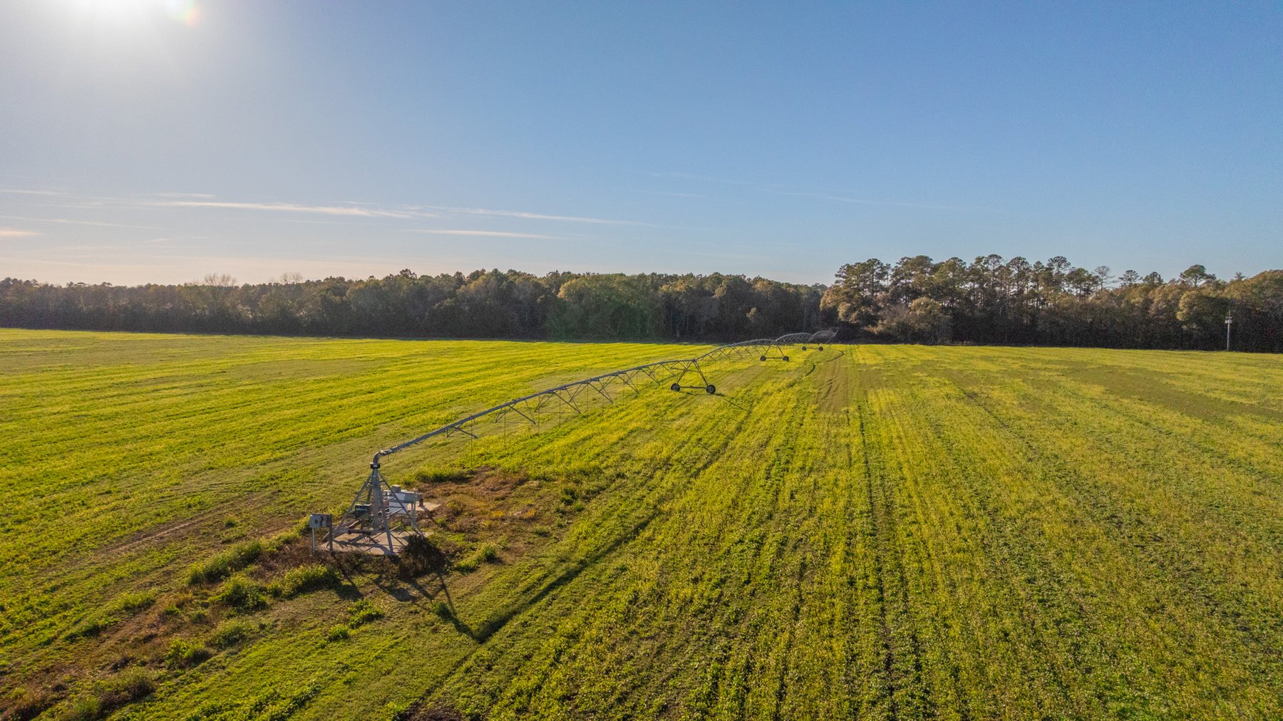 Image for The Glenn Farm Property - 377.6+/- Total Acres - Mitchell County, Georgia
