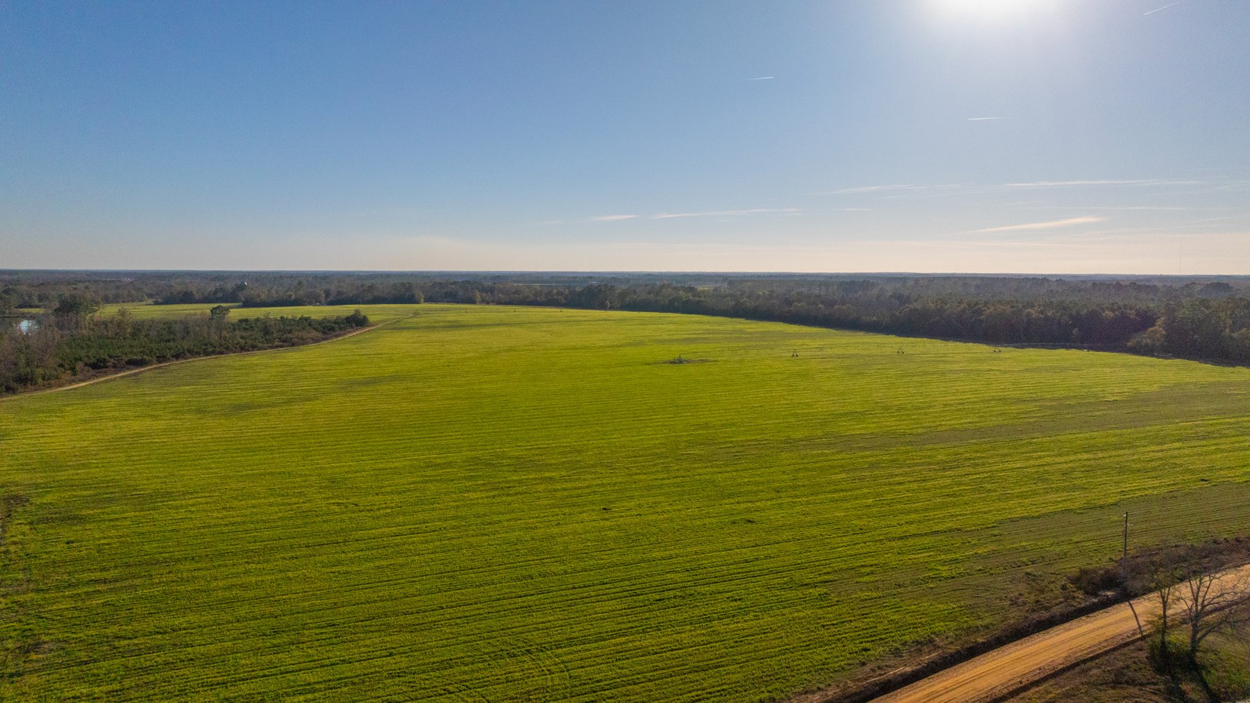 Image for The Glenn Farm Property - 377.6+/- Total Acres - Mitchell County, Georgia