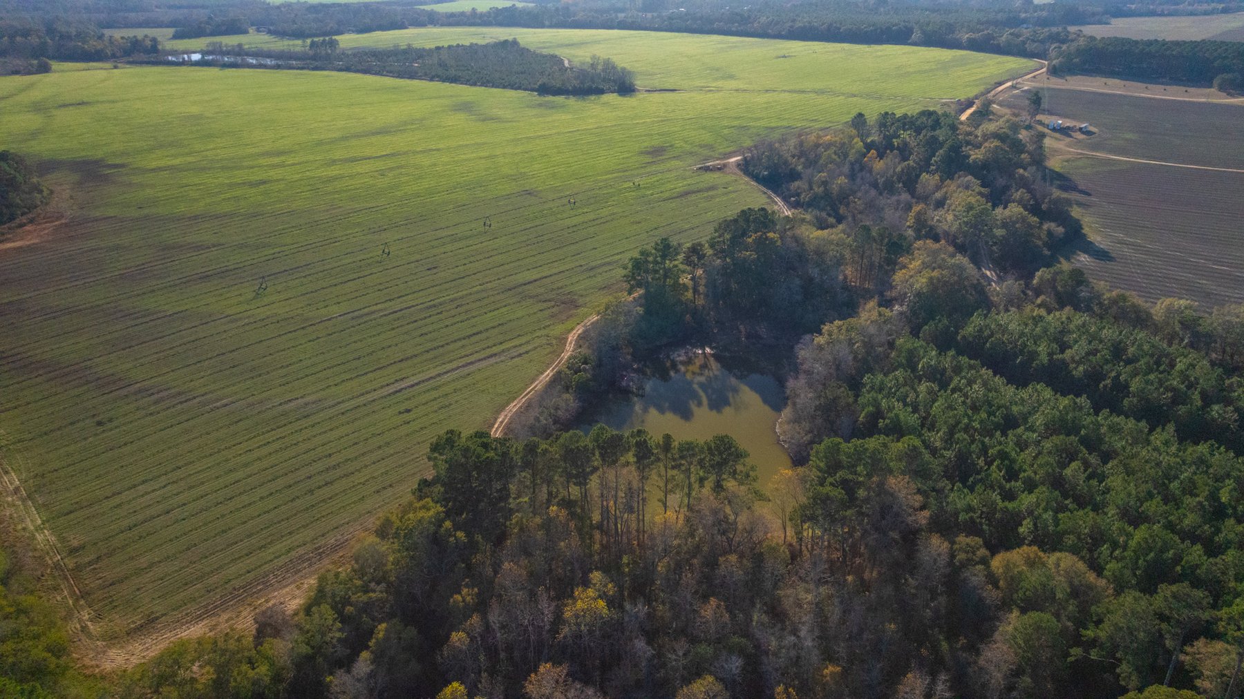 Image for The Glenn Farm Property - 377.6+/- Total Acres - Mitchell County, Georgia