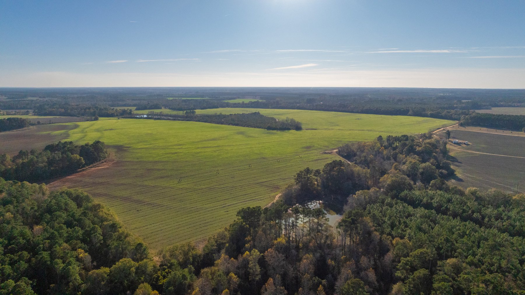 Image for The Glenn Farm Property - 377.6+/- Total Acres - Mitchell County, Georgia