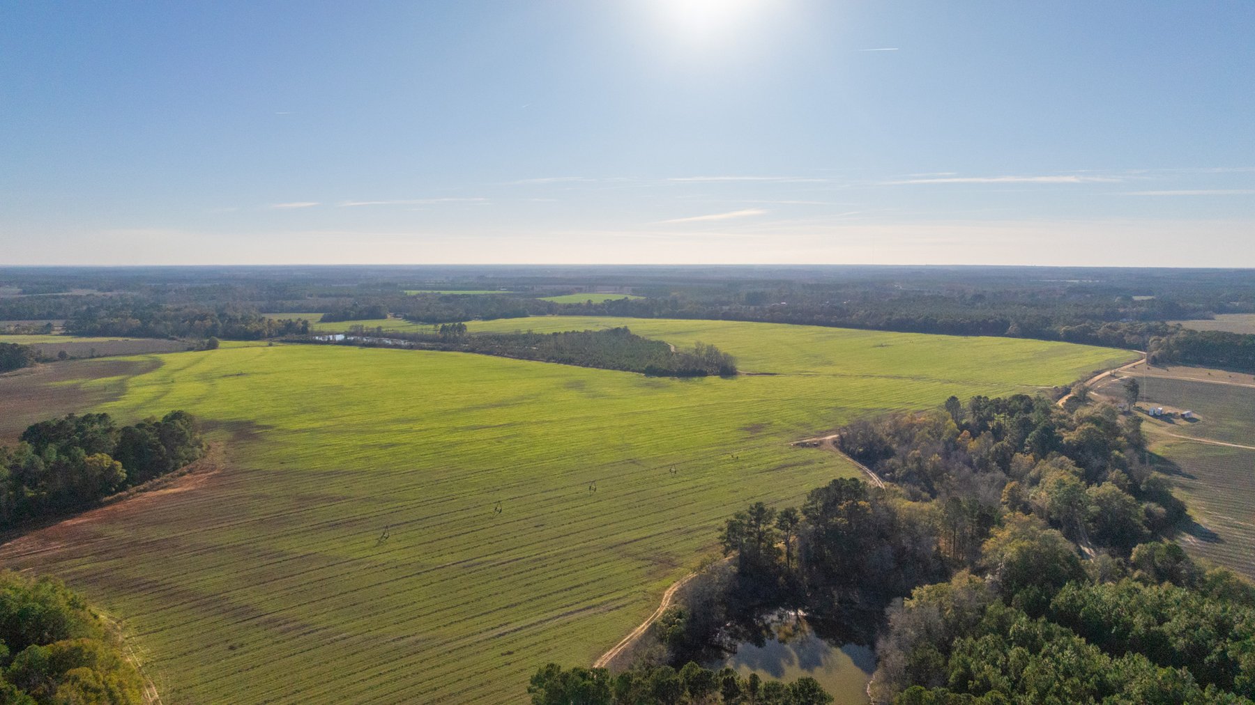 Image for The Glenn Farm Property - 377.6+/- Total Acres - Mitchell County, Georgia