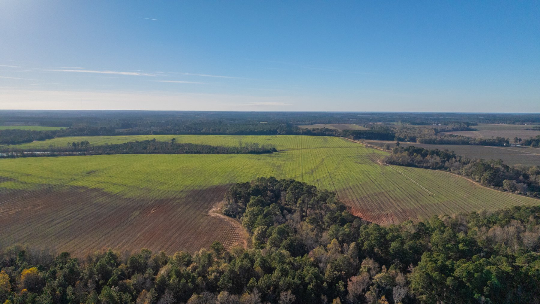 Image for The Glenn Farm Property - 377.6+/- Total Acres - Mitchell County, Georgia