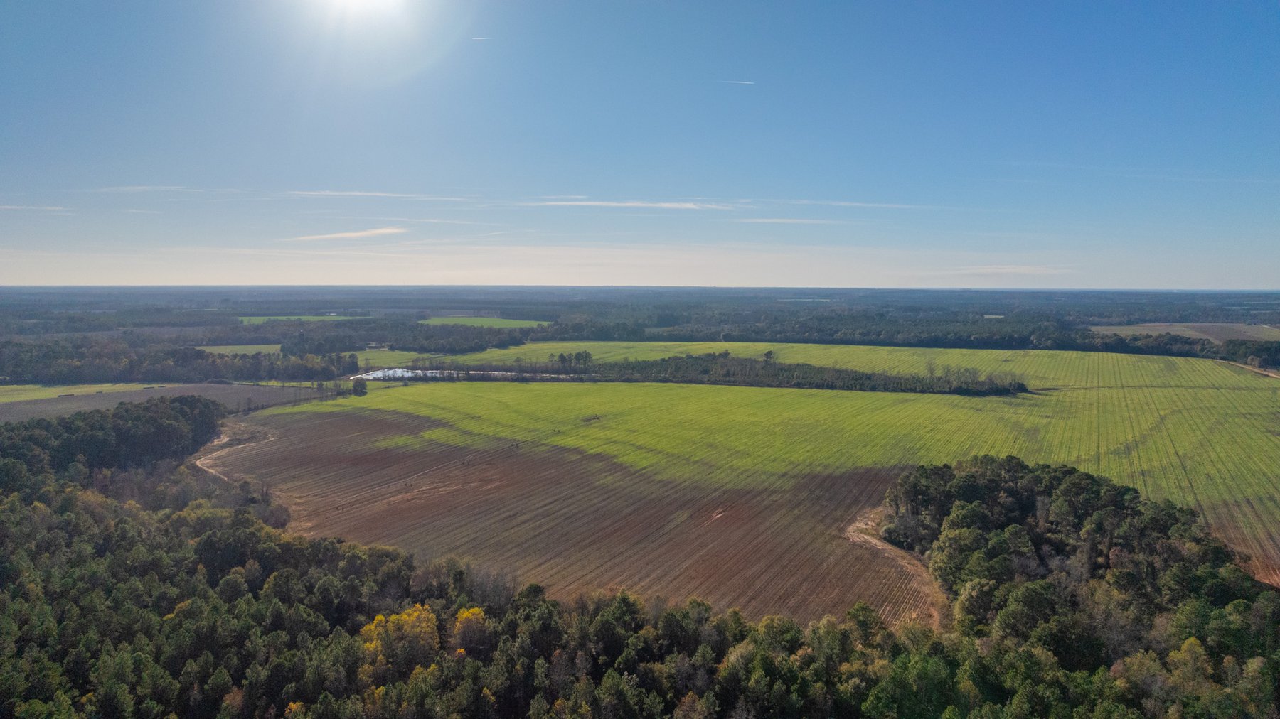 Image for The Glenn Farm Property - 377.6+/- Total Acres - Mitchell County, Georgia